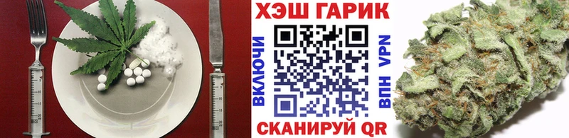 купить закладку  Снежногорск  МЕГА tor  Cannafood конопля 