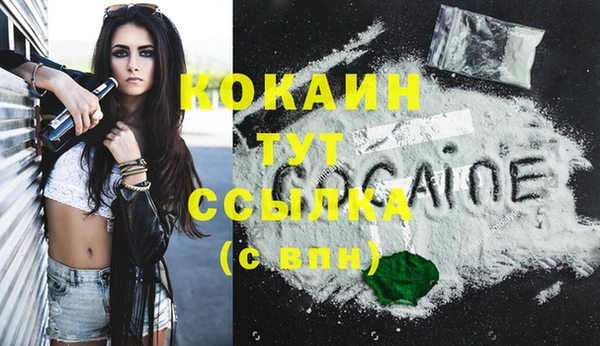 СК Алзамай