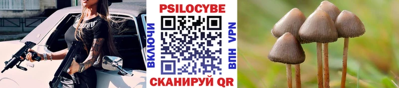 гидра ТОР  Снежногорск  Галлюциногенные грибы Cubensis 