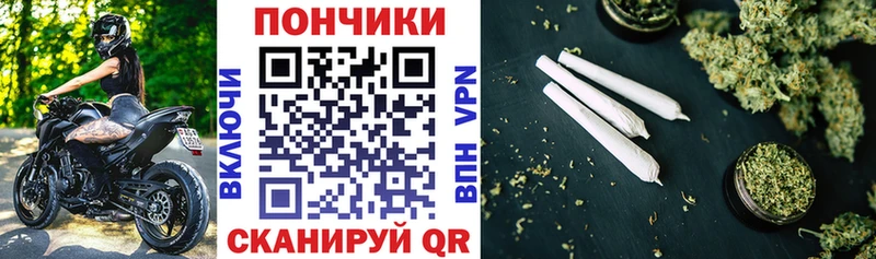 МАРИХУАНА план  сколько стоит  Снежногорск 